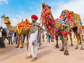 Fairs and Festivals in Pushkar