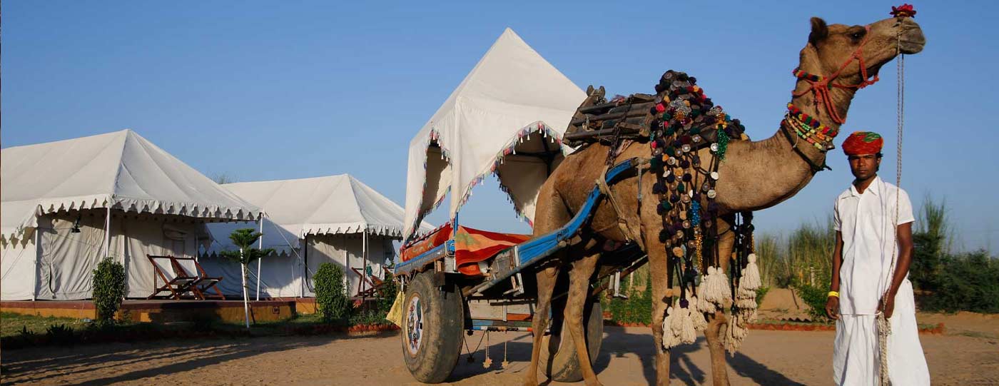 PUSHKAR CAMEL SAFARI TOUR